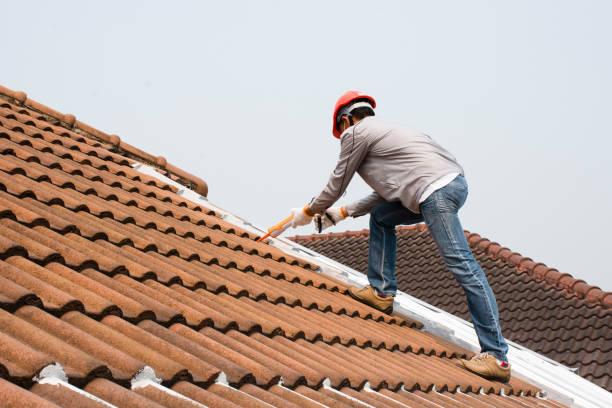 Reliable Barnesville, GA Roofing services Solutions