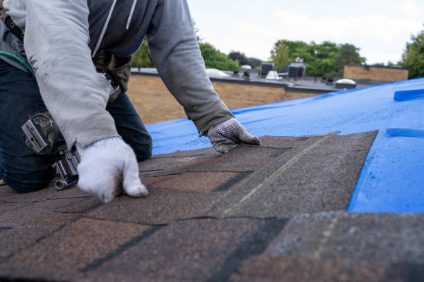 Best Gutter Installation and Repair  in Barnesville, GA